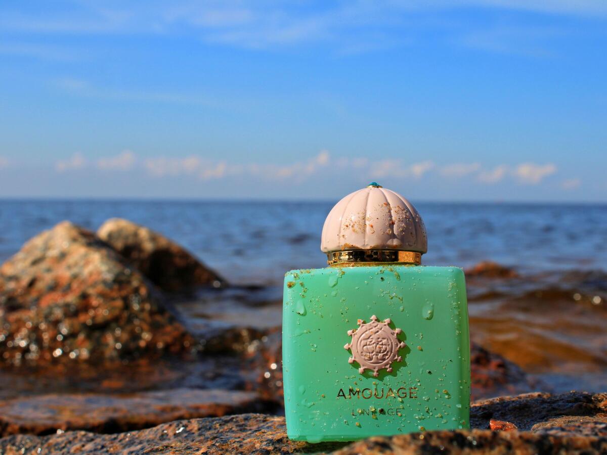 Amouage Guidance 46 Reasons Ou - Perfume Quality Fragrance Oils recension och pris
