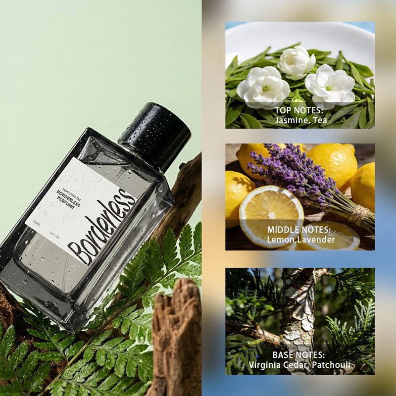 Luxury Borderless Men Perfume  - Perfume Lavender Fragrance recension och pris